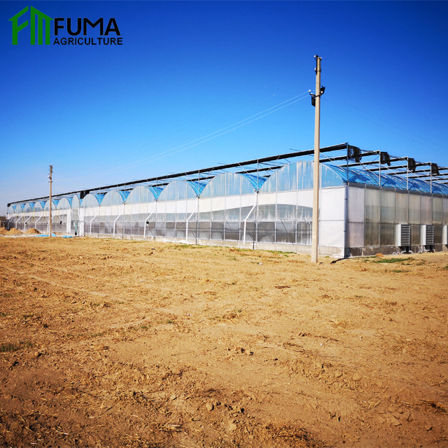 FM Prefab Poly Tunnel Green House Tomato Hydroponic Film Used Greenhouse Cooling System Accessories Parts For Sale