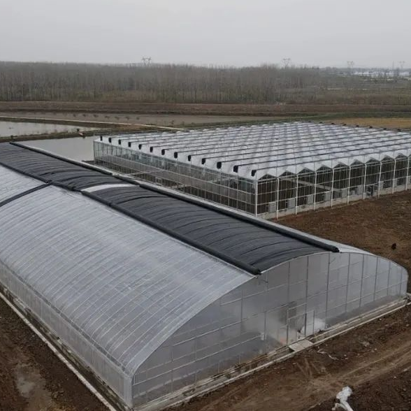 Thermal Blanket For Cold Weather insulation quilt keep warm in winter with auto machine Greenhouse