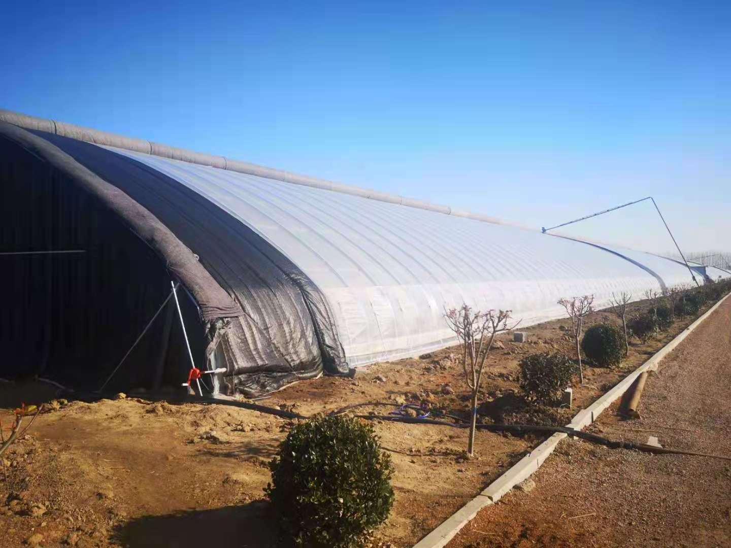 High tunnel tomato greenhouse with shade net agricultural green houses