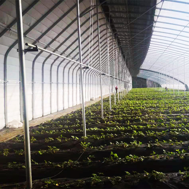 FM Factory Manufacture Solar Passive Green House Low Greenhouse Price for Gardening/Indoor Farming/Tomato/Lettuce/Herbs