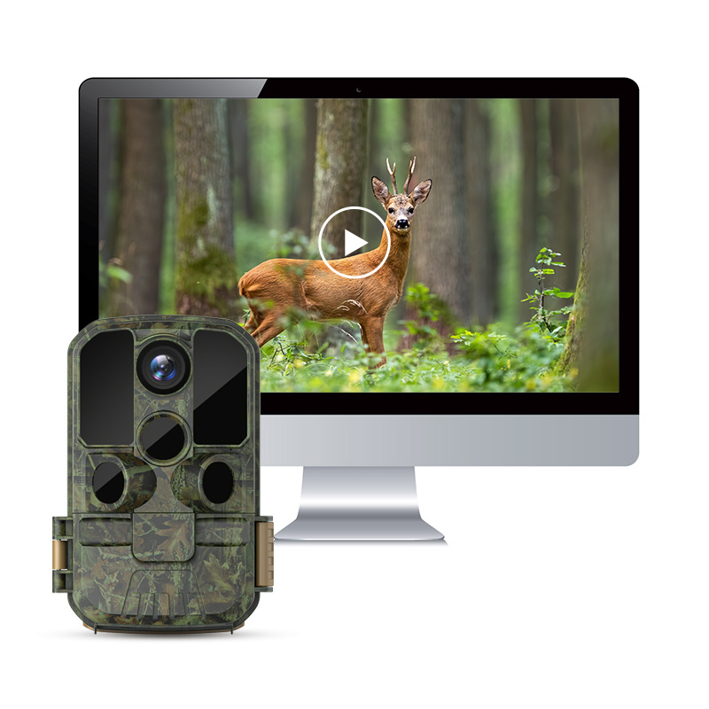 Hdking Wildlife 20mp 1080p Video Recording Night Vision Security Wireless System Waterproof Ip65 Outdoor Trail Hunting Camera