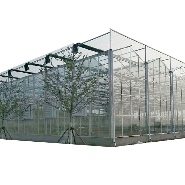 Agricultural Greenhouse Multi span  Glass Greenhouse Hydroponic Greenhouse Growing System