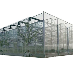 Agricultural Greenhouse Multi span  Glass Greenhouse Hydroponic Greenhouse Growing System