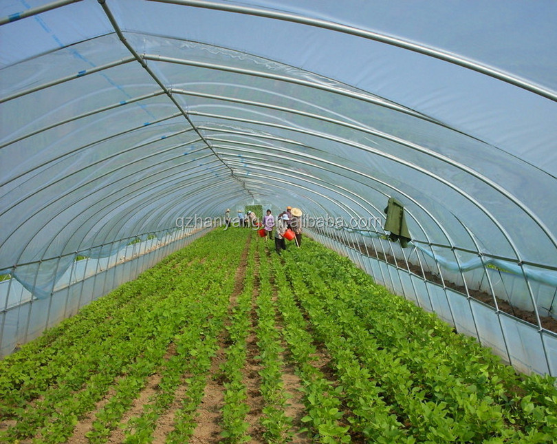 Agriculture Used poly tunnel\plastic film Greenhouse Tent For Sale