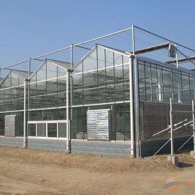 Commercial Hydroponics Glass greenhouse For tomato growing vegetable green house