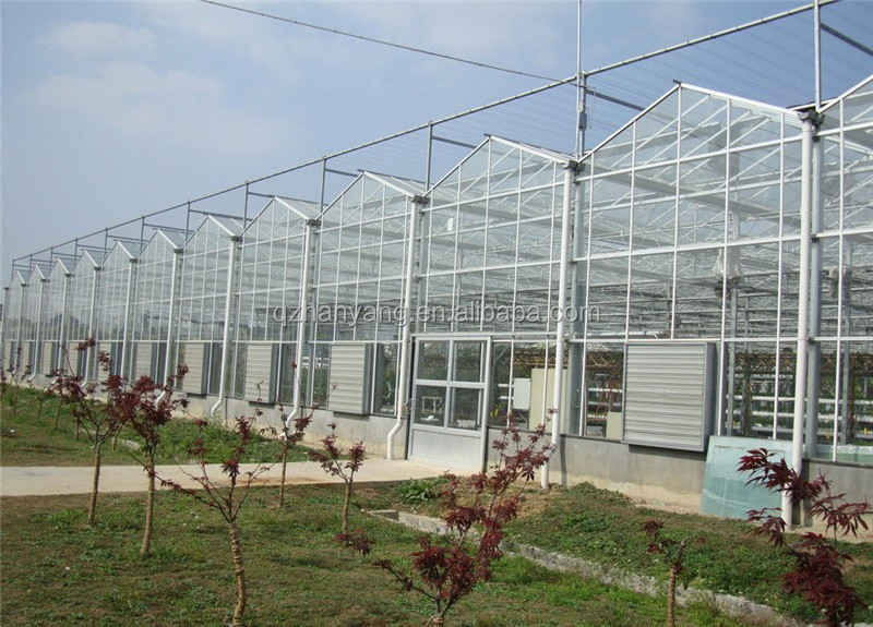 Agricultural Greenhouse Multi span  Glass Greenhouse Hydroponic Greenhouse Growing System