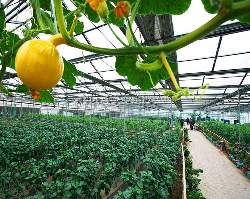 Agriculture Used poly tunnel\plastic film Greenhouse Tent For Sale