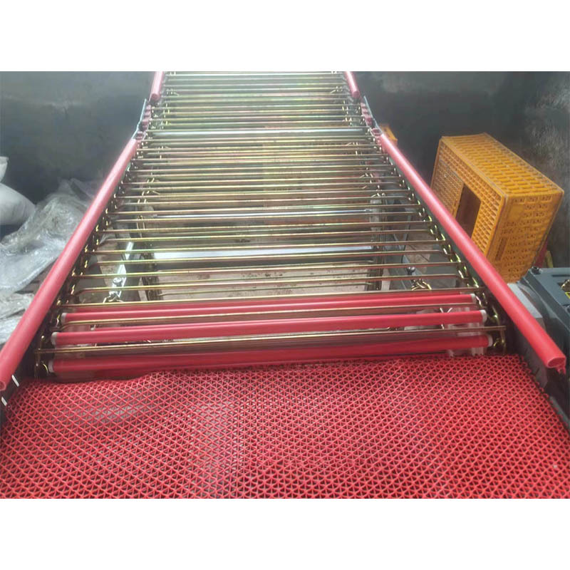 Automatic Poultry Farm Egg Collection Equipment Chicken Breeding Machine