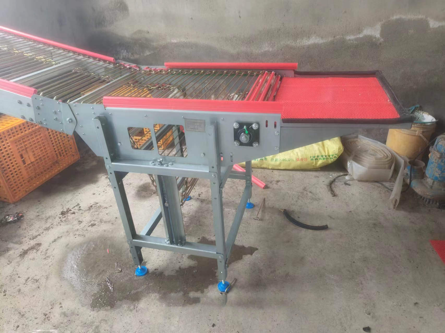 Automatic Poultry Farm Egg Collection Equipment Chicken Breeding Machine