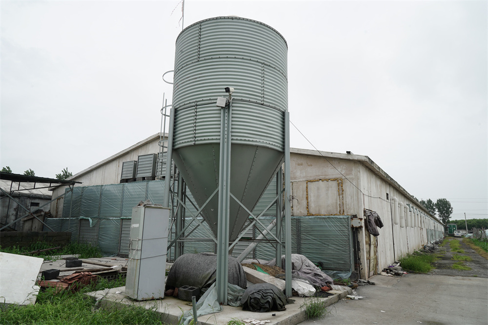 Hot sale feed storage bin silos poultry feed used storage silo