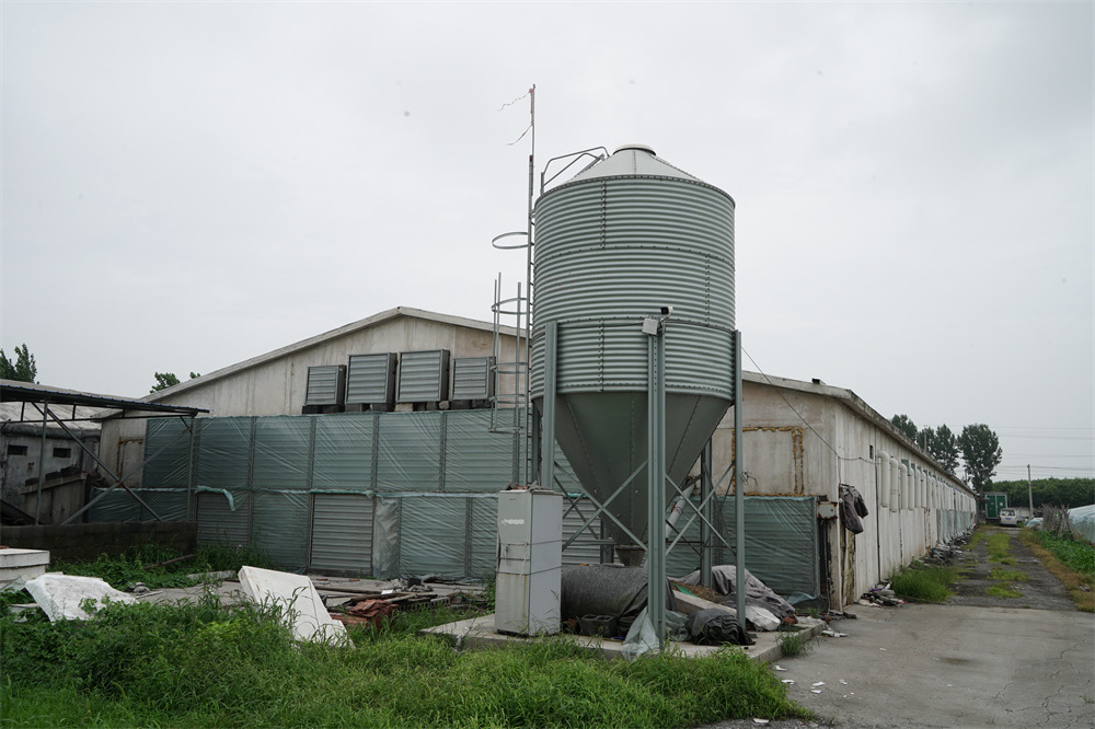 5% off cost price Poultry Farm Equipment Seeds Grain Feed Storage Silo tank 275g Galvanized Corn Grain Maize 3T-30T Storage Silo