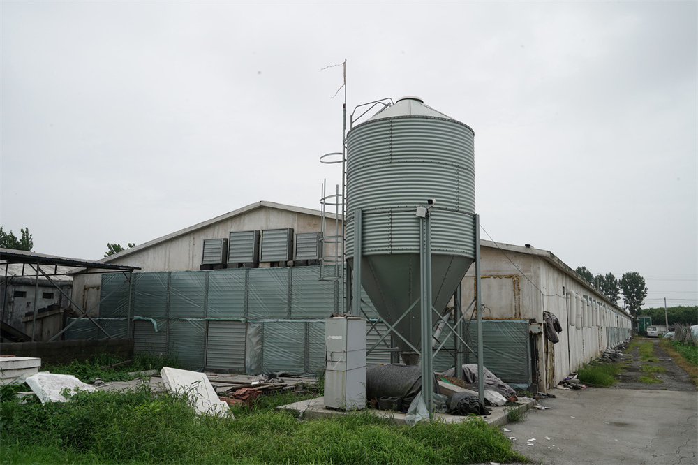 Best quality animal feeder small silos for sale feed bins for pig