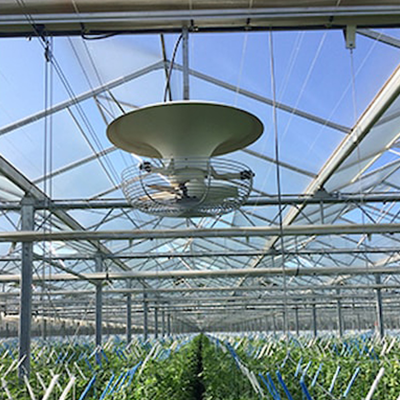 V-fan High power Ceiling FAN in greenhouses commercial planting ventilation equipment