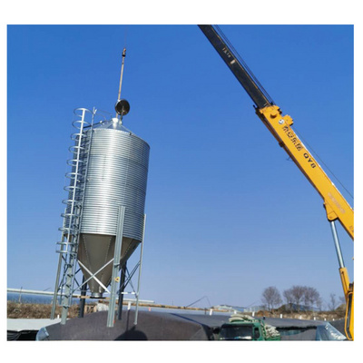 Pig feed Silo / Chicken Feed Silo / Automatic Feeding system Silo