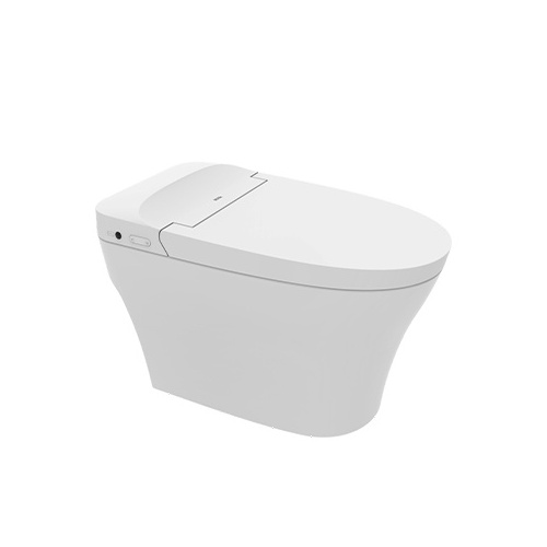 Factory Direct Wholesale floor Bathroom Wall mounted Toilet Wc Smart Intelligent Toilet Smart Toilet