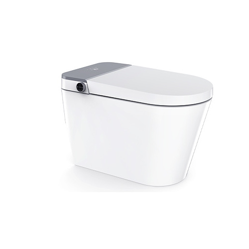 Luxury Automatic Flush Wc Intelligent Toilet Bowls Rimless Water Closet Smart Toilet