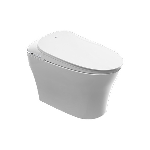 Factory Direct Wholesale floor Bathroom Wall mounted Toilet Wc Smart Intelligent Toilet Smart Toilet