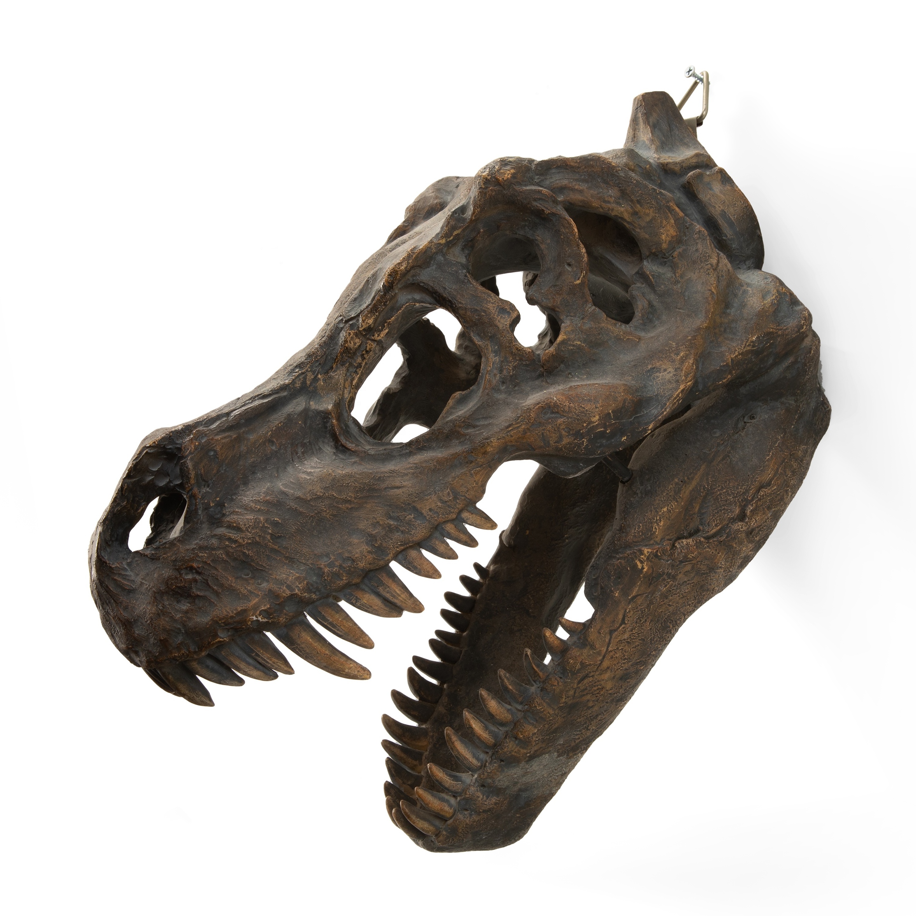 Resin Animal Dinosaur Skull Head Model Tyrannosaurus Skeleton Fossil Home Decoration hanging