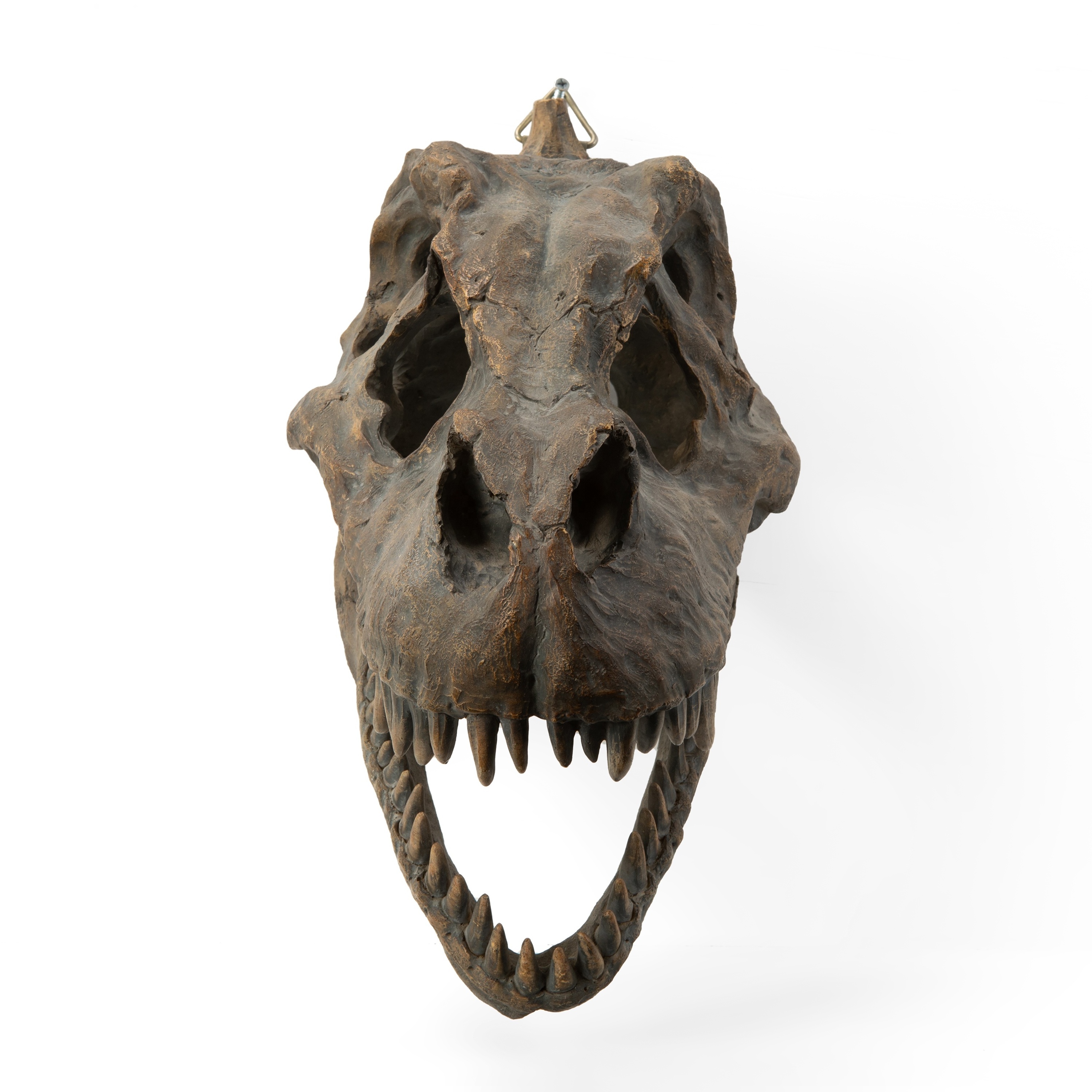 Resin Animal Dinosaur Skull Head Model Tyrannosaurus Skeleton Fossil Home Decoration hanging