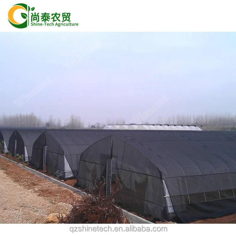 High Tunnel Film Covered Tomato Greenhouse with shade net agricultural green houses