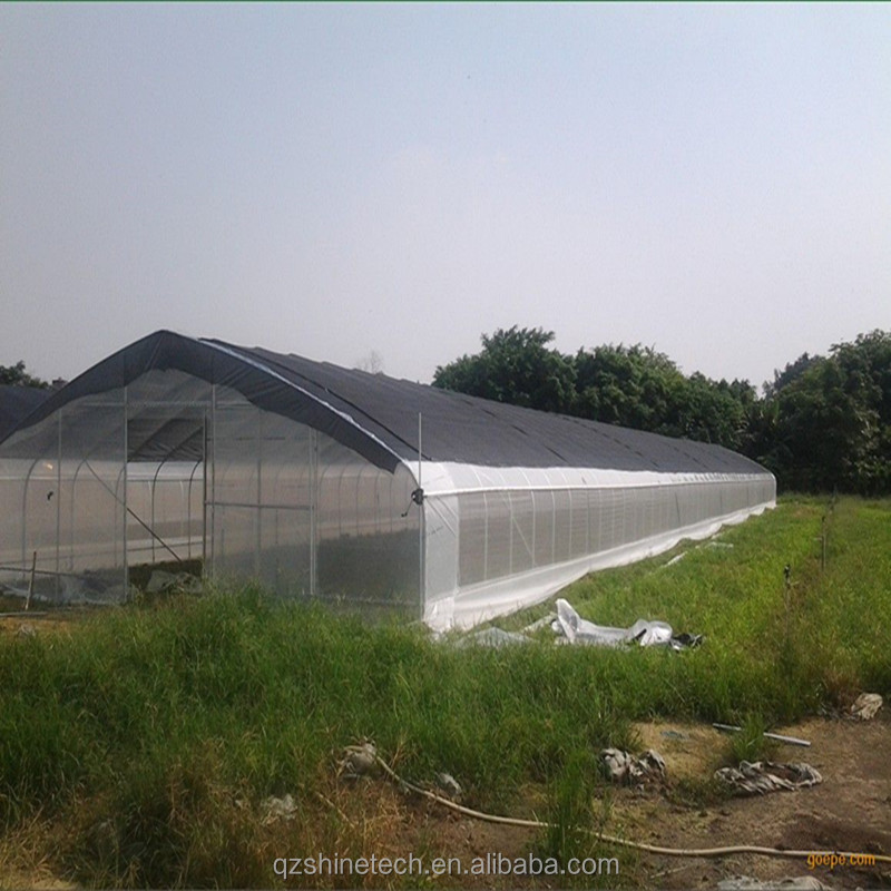 High Tunnel Film Covered Tomato Greenhouse with shade net agricultural green houses