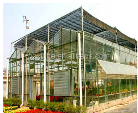 Venlo type commercial used glass greenhouse for sale