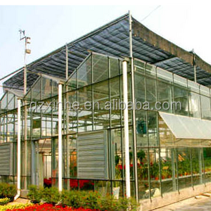 Venlo type commercial used glass greenhouse for sale