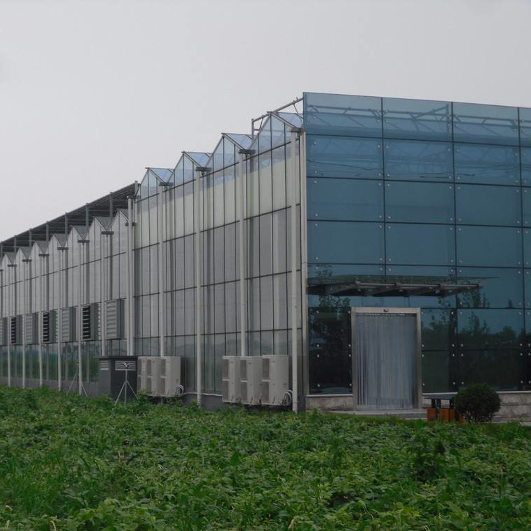 Venlo type commercial used glass greenhouse for sale