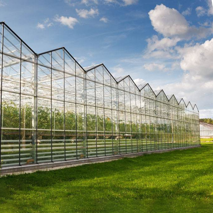 Venlo type commercial used glass greenhouse for sale