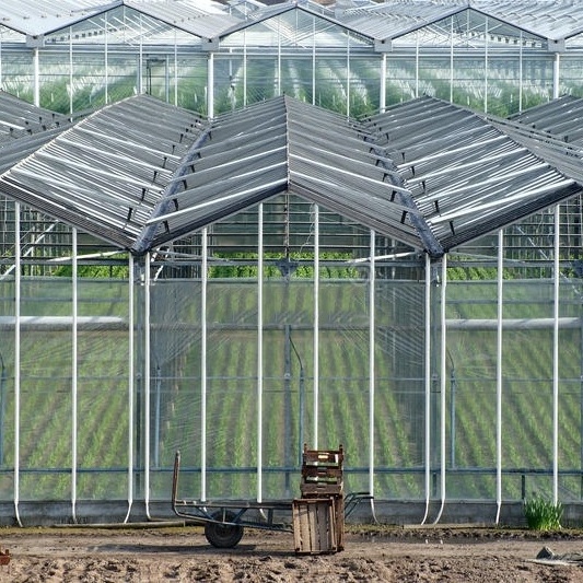 Venlo type commercial used glass greenhouse for sale