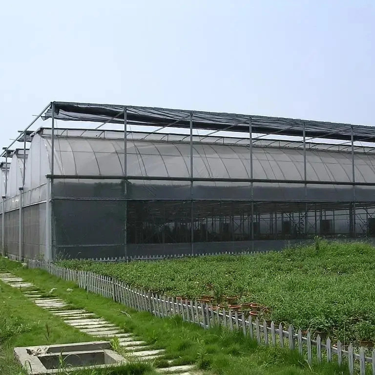 Agricultural greenhouse film greenhouse frame greenhouse for sale