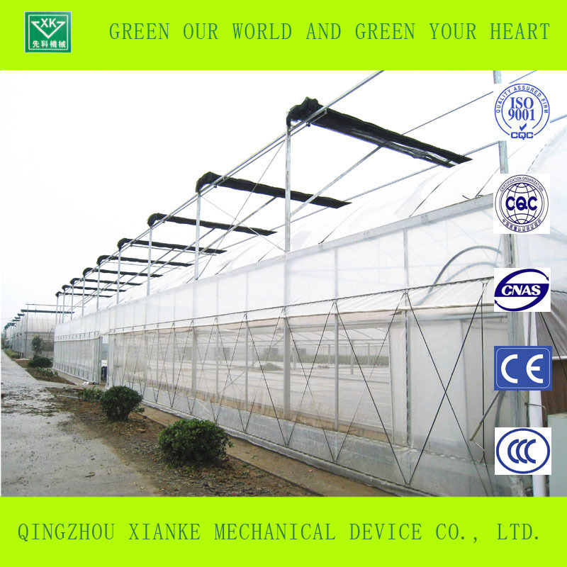 hot  sale  transparent plastic film  greenhouse  used for agricultural products