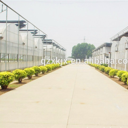 hot  sale  transparent plastic film  greenhouse  used for agricultural products