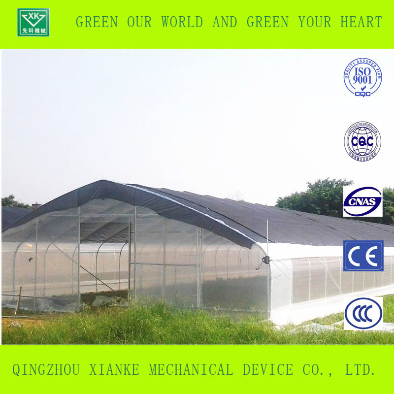 hot  sale  transparent plastic film  greenhouse  used for agricultural products