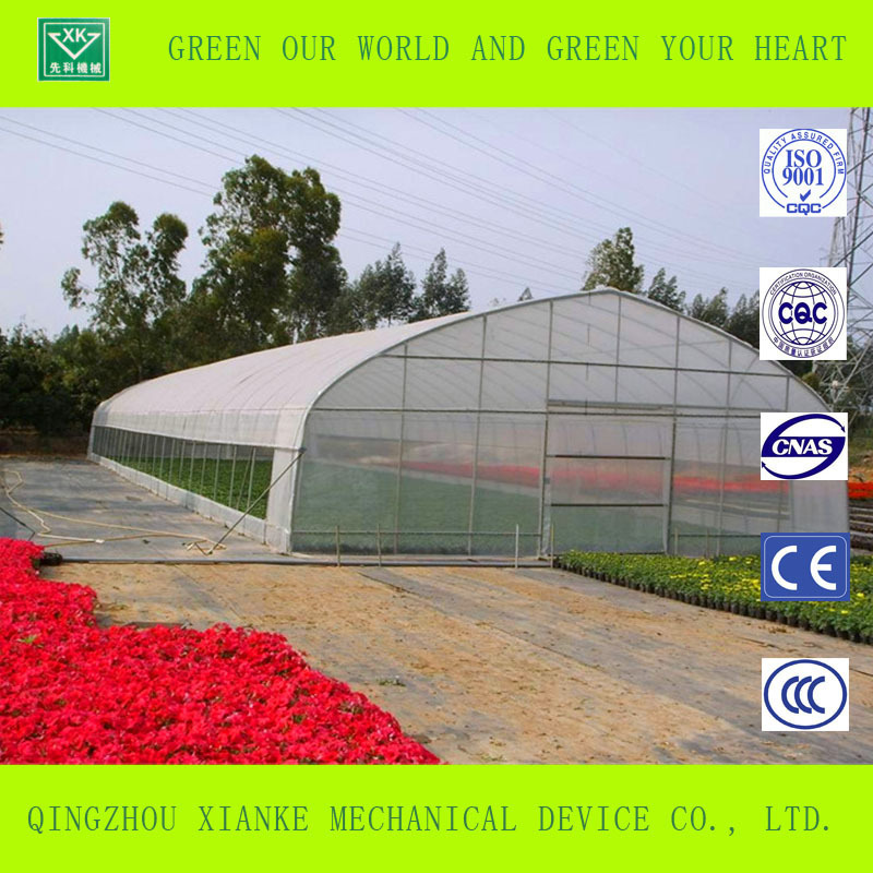 hot  sale  transparent plastic film  greenhouse  used for agricultural products