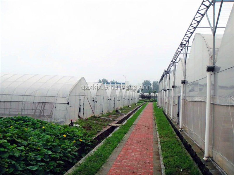 hot  sale  transparent plastic film  greenhouse  used for agricultural products