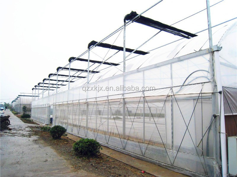 hot  sale  transparent plastic film  greenhouse  used for agricultural products