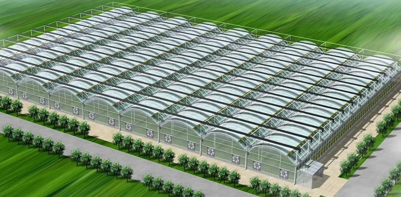 Agricultural greenhouse film greenhouse frame greenhouse for sale