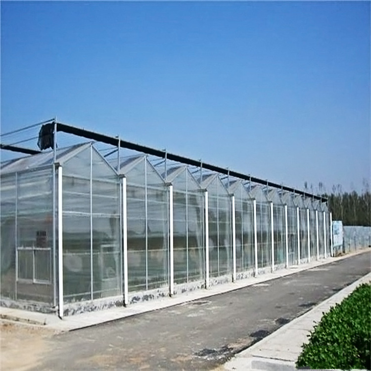 smart glass greenhouses used for family and other application on hot sale