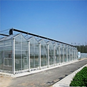 smart glass greenhouses used for family and other application on hot sale