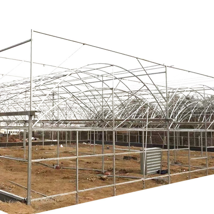 Agricultural greenhouse film greenhouse frame greenhouse for sale