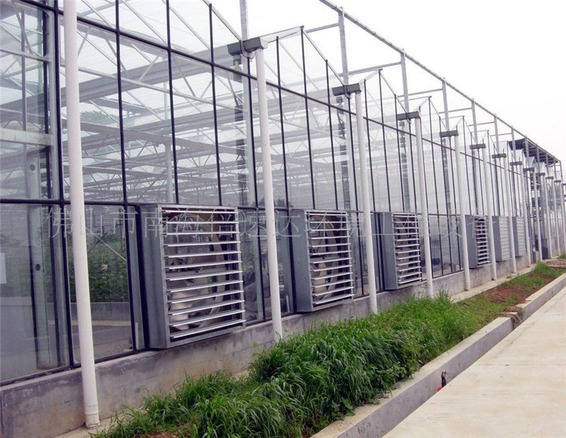 smart glass greenhouses used for family and other application on hot sale