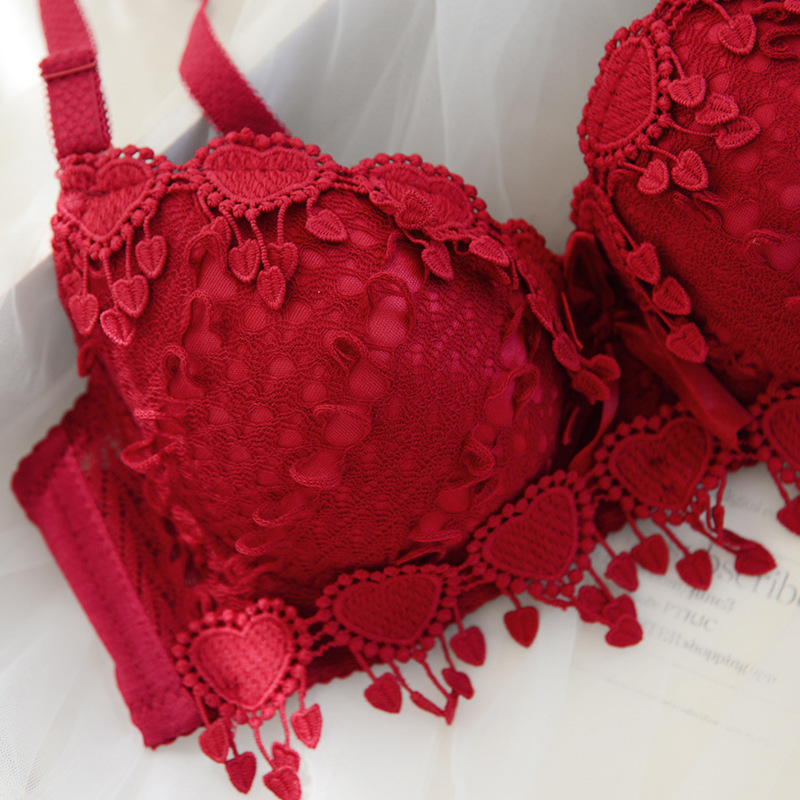 Girls Lace Bra Panties Sets Cute Women Underwire Push Up Lace Bra Set Embroidery Bra And Brief Set