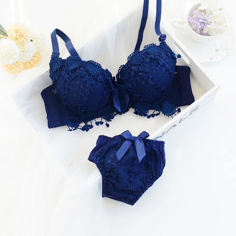 Girls Lace Bra Panties Sets Cute Women Underwire Push Up Lace Bra Set Embroidery Bra And Brief Set