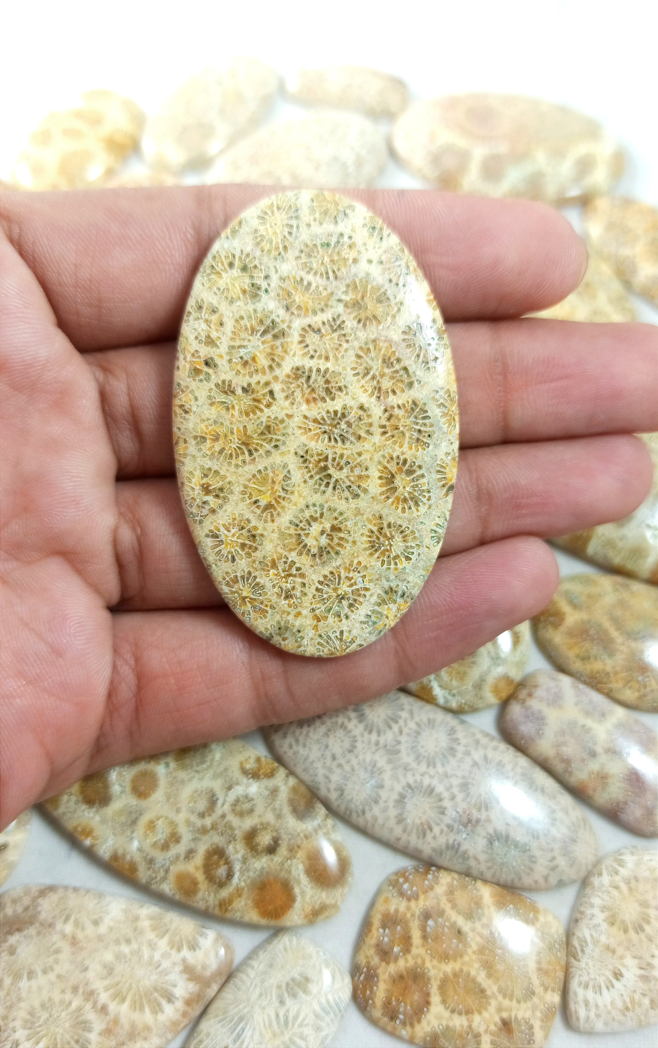 Fossil Coral Cabochon Fossil Coral Gemstone Mix Shape And Size Top Quality Semi Precious Fossil Coral Stone for Jewelry Making