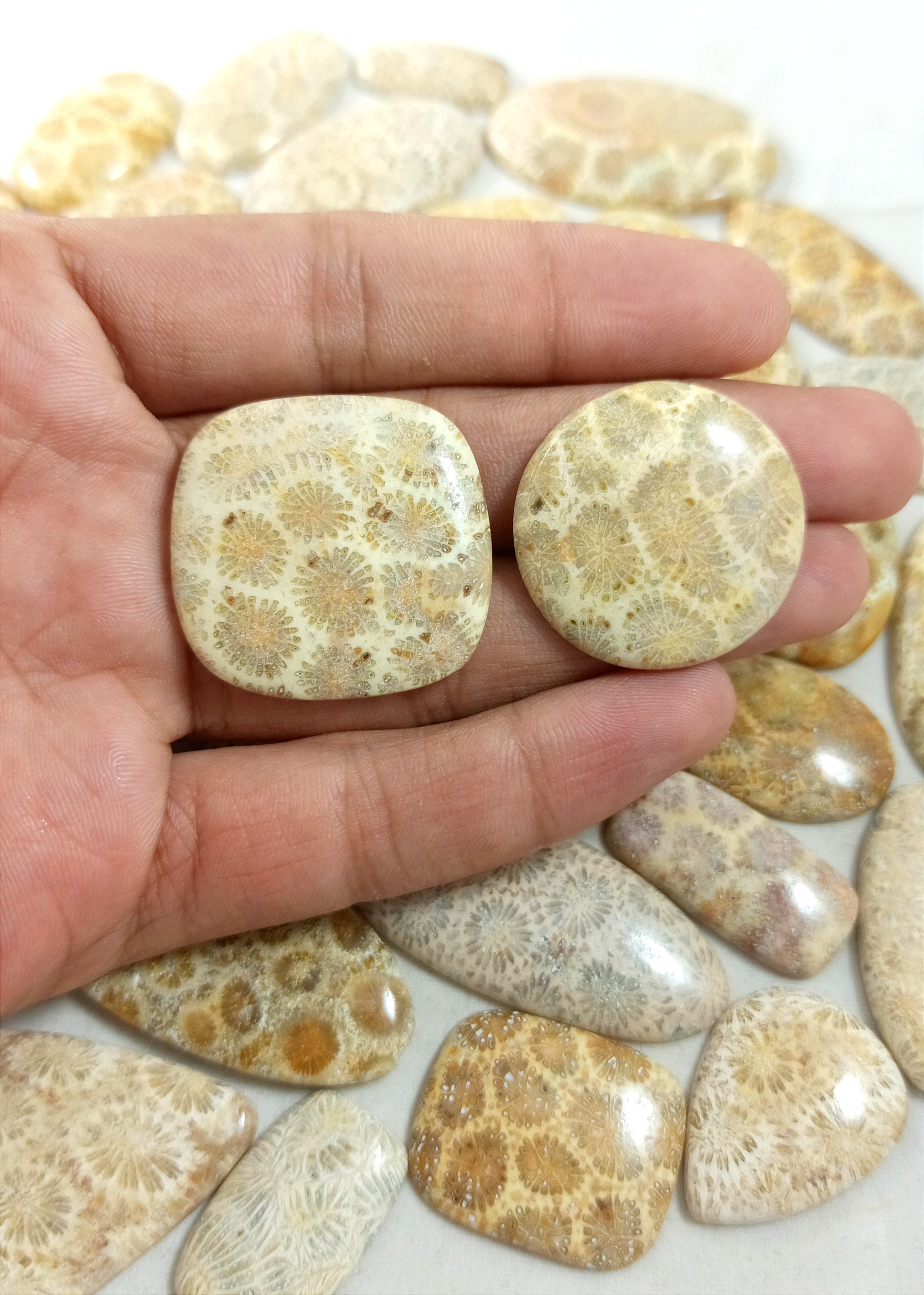 Fossil Coral Cabochon Fossil Coral Gemstone Mix Shape And Size Top Quality Semi Precious Fossil Coral Stone for Jewelry Making