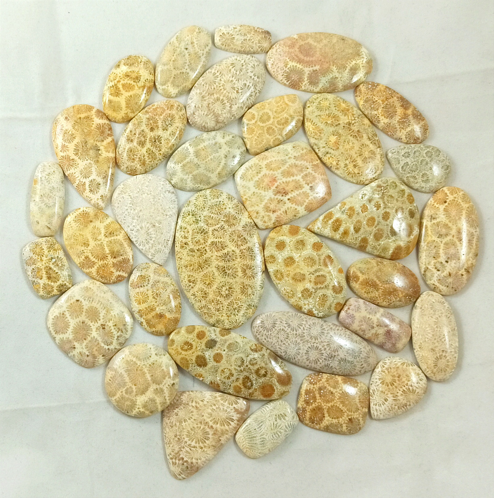 Fossil Coral Cabochon Fossil Coral Cabochon Loose Gemstone Mix Shape And Size Top Quality Semi Precious Stone for Jewelry Making