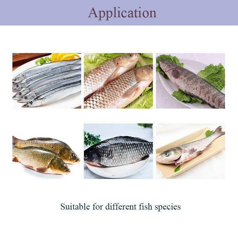 High Automation Small Fish Cleaning Machine / Small Fish Scaling Machine / Small Fish Descaler