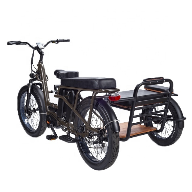 RaiderTrike-C201Durable side 3Wheel 750W Bafang motor Bicycle side car Electric Fat Tire Bike Electric Tricycles cargo Ebike