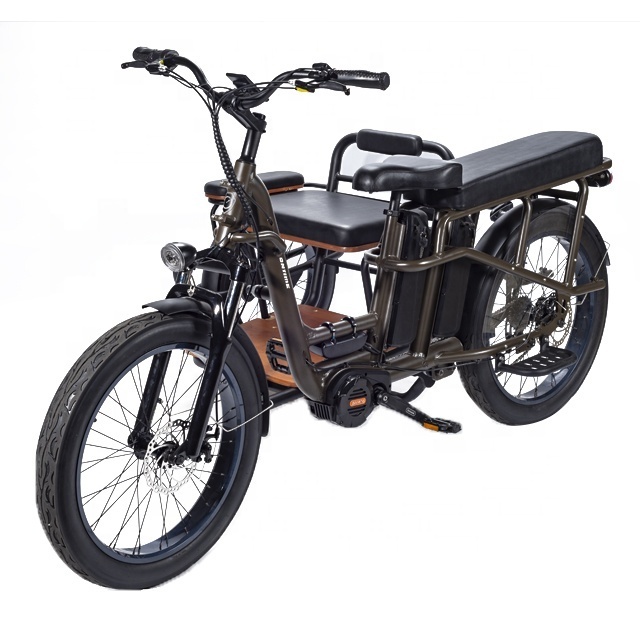 RaiderTrike-C201Durable side 3Wheel 750W Bafang motor Bicycle side car Electric Fat Tire Bike Electric Tricycles cargo Ebike